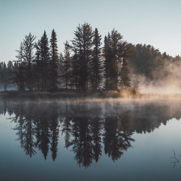 Nature travel hero image